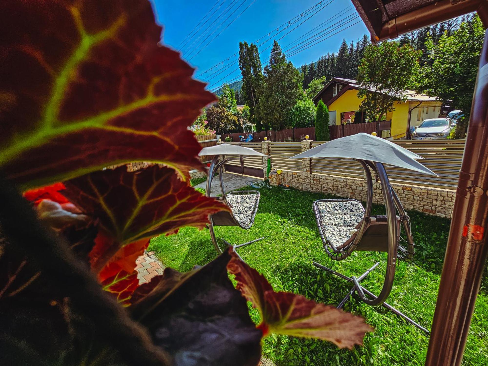 Hotel Alpine Bliss Sinaia Exterior foto